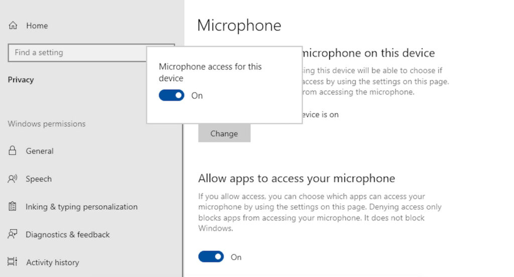 Check Your Microphone Privacy Settings