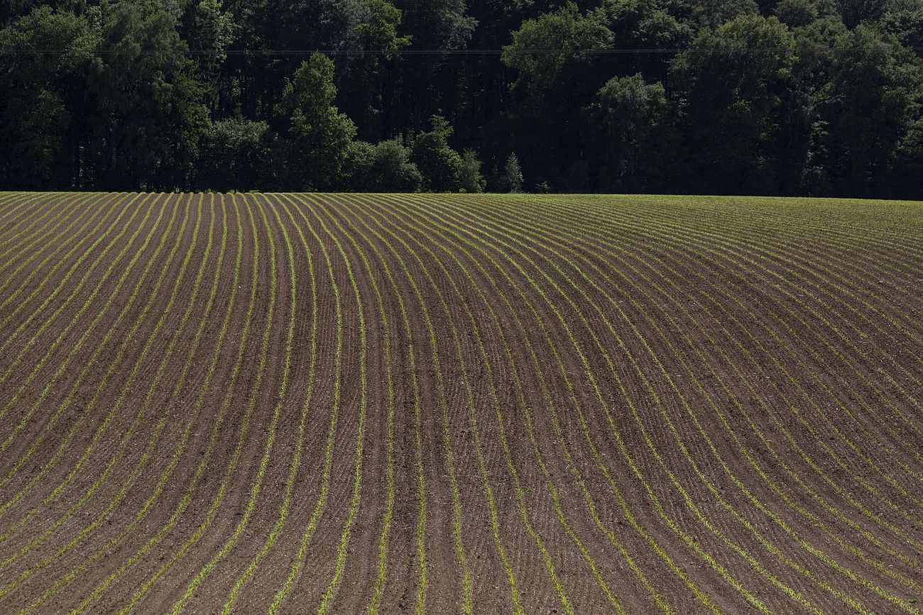 Streamlining Water Treatment: Efficiency Techniques for Plant Operations